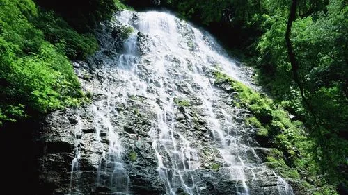 高端科技高性能